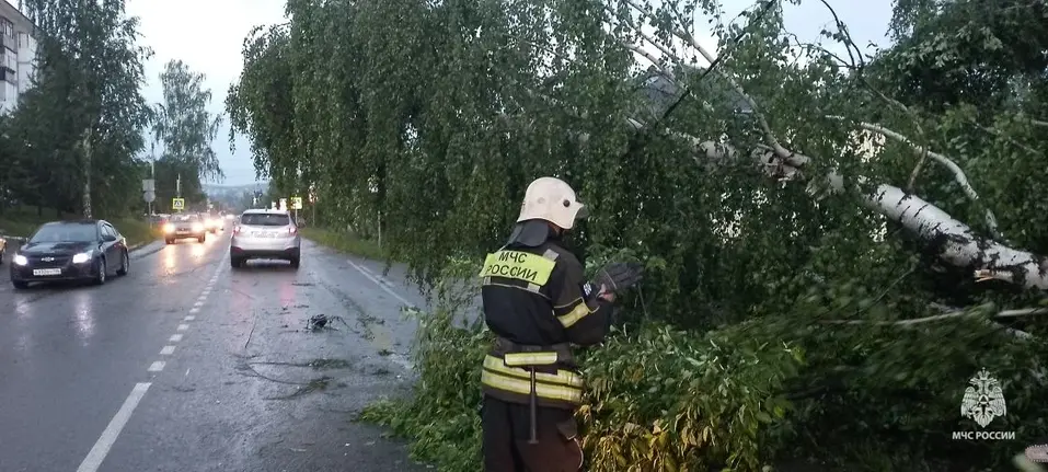 Торнадо в Кушве: шквалистым ветром повреждены крыши 99 домов, нет газа и электричества
1 Торнадо в Кушве: шквалистым ветром повреждены крыши 99 домов, нет газа и электричества
1