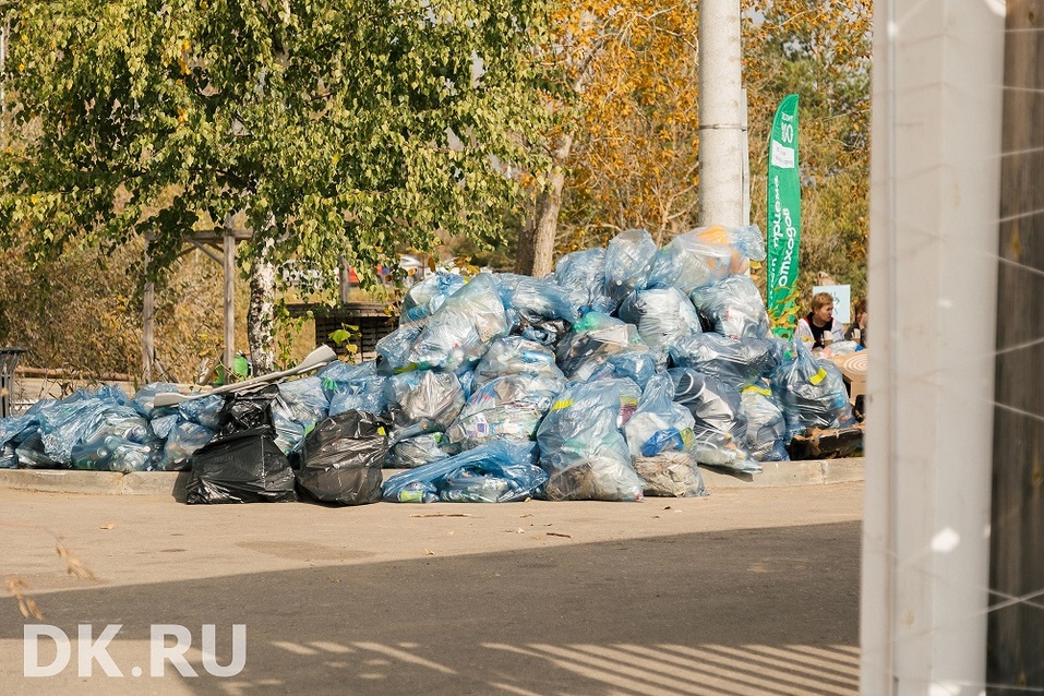 Экоквест-2026 в Нижнем Новгороде: компании и семьи выйдут на уборку Гребного канала 4 Экоквест-2026 в Нижнем Новгороде: компании и семьи выйдут на уборку Гребного канала 4