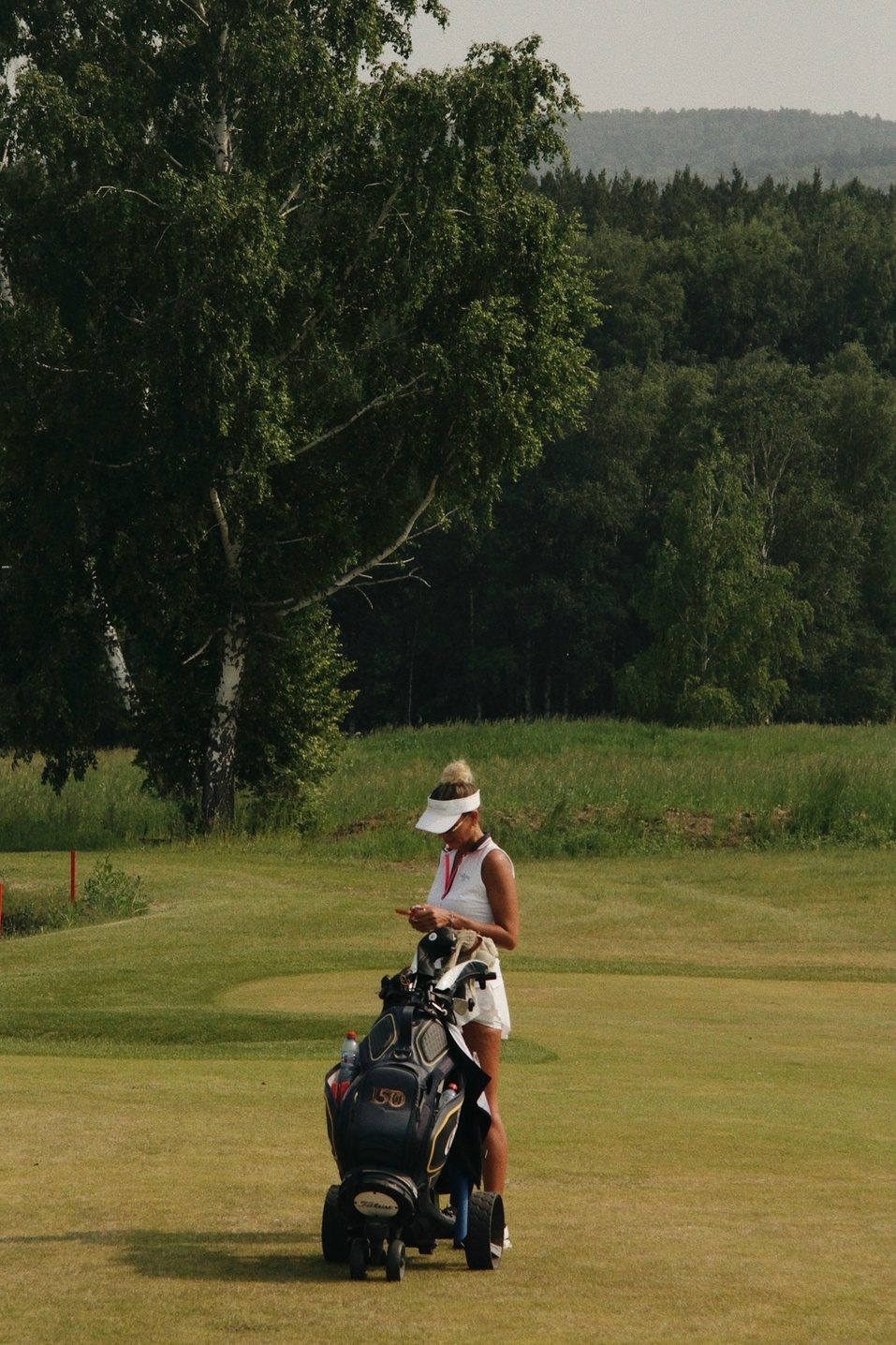 Иллюстрация: vk.ru/golfyudinvalley Иллюстрация: vk.ru/golfyudinvalley