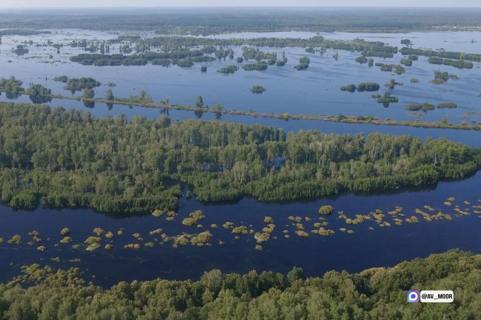 Уровень воды в Туре превысил критическую отметку, на дамбах выставили караул 1 Уровень воды в Туре превысил критическую отметку, на дамбах выставили караул 1