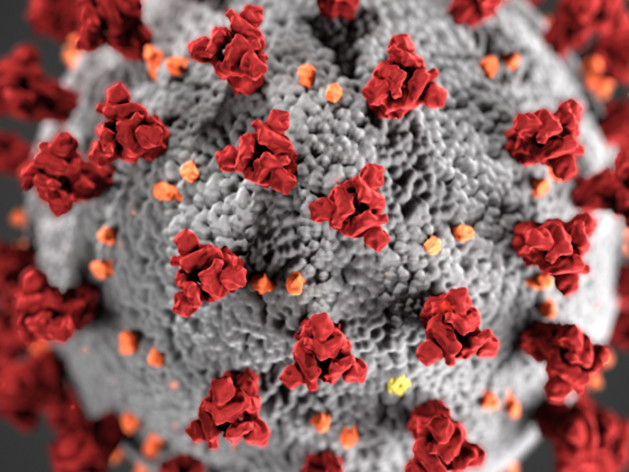 Компании всего мира борются с коронавирусом. Когда ждать хороших экономических новостей?
