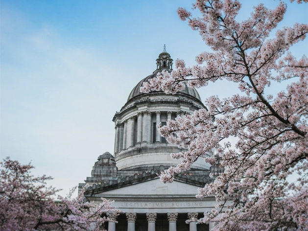 Рост на 5% за четыре сессии: как начали год фондовые рынки и что важно знать инвестору