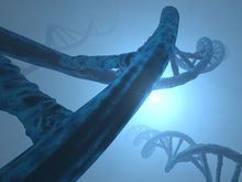 «Наличие мутации — это не приговор». Как работают наши гены?