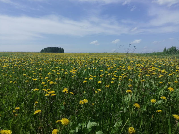 От НЛО до водопадов. Что посмотреть на Урале, пока границы на замке