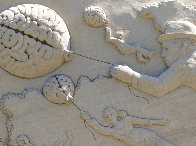 Во взрослом возрасте мозг отторгает знания, это физиология. Что делать?