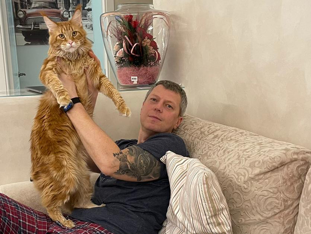 «Терпят нас за вкусняшки»: котики, которые стоят за екатеринбургскими бизнесменами