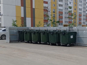 Челябинских предпринимателей оштрафовали на 6 млн рублей за «мусорные» нарушения