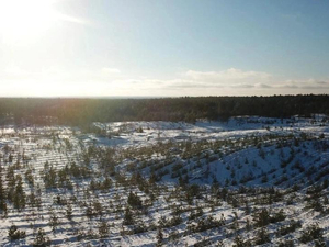 Нижегородская область вошла в ТОП-10 регионов РФ по качеству охраны лесного фонда
