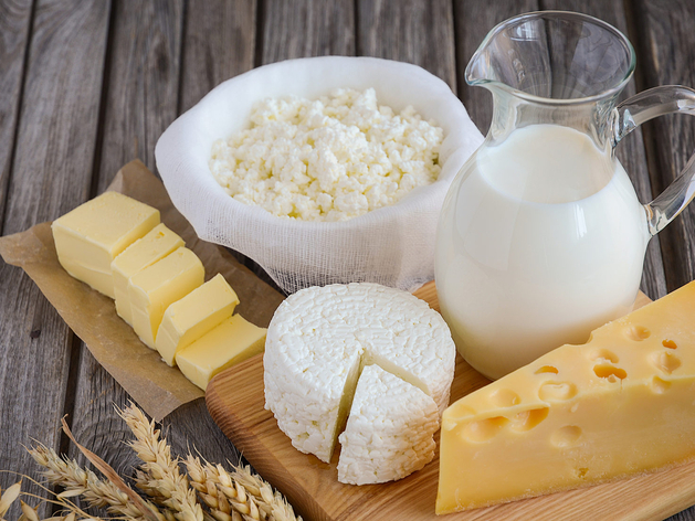«Если Европа введет санкции на молочные закваски, сметаны и сыра в России не будет»