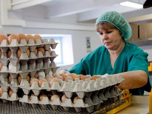 Красноярскую птицефабрику «Бархатовская» рассчитывают продать за 1 млрд
