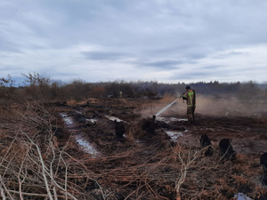 На Среднем Урале снова горят леса. Кто виноват и что делать?