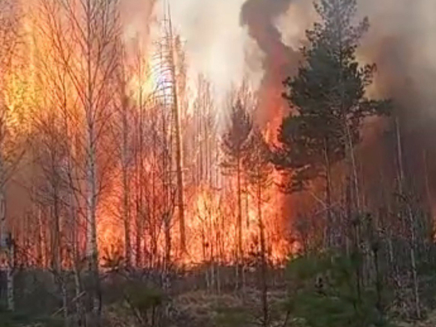 За сутки в Свердловской области зарегистрировано 77 новых возгораний