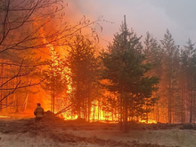 В Свердловской области на данный момент горит 15 торфяников и 25 тыс. гектаров леса