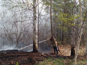 На Среднем Урале снова выросла площадь лесных пожаров. Больницы перевели в особый режим