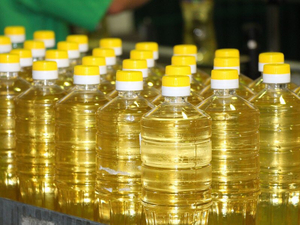 Заводоуковский маслозавод в 12 раз увеличил экспорт рапсового масла в Китай