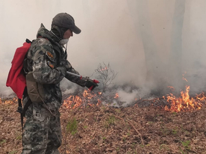 Эпопея с пожарами в лесах на Среднем Урале завершена