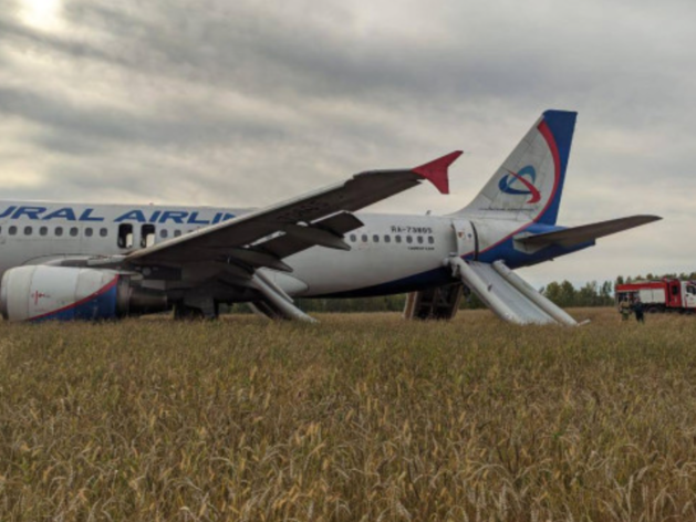 Опять в поле. Самолет «Уральских авиалиний» экстренно сел на грунт в Новосибирской области
