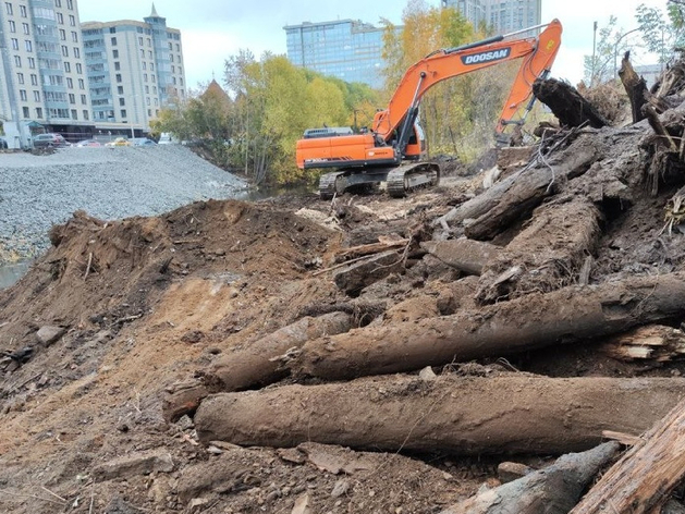 Спасти останки здания и 150-летние тополя. Активисты выступили против работ у Исети
