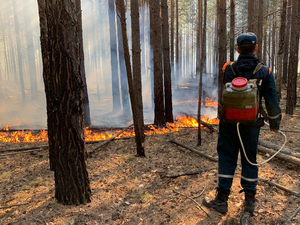 Житель Тюменской области выплатит 1,7 млн за костер, ставший причиной лесного пожара