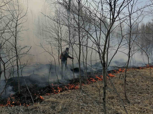 В Тюменской области объявили о завершении пожароопасного сезона
