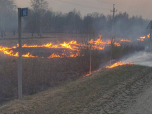 Ущерб от лесных пожаров в Тюменской области составил 298 млн рублей