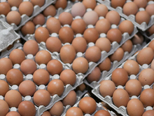 200 руб. за десяток. ФАС, Минсельхоз и Минпромторг озабочены резким ростом цен на яйца