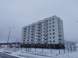 Все 25 корпусов. В Нижнем Новгороде достроили  ЖК «Новинки Smart City»
