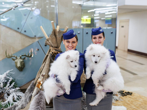 В аэропорту Красноярска открылась фотовыставка о достопримечательностях Севера