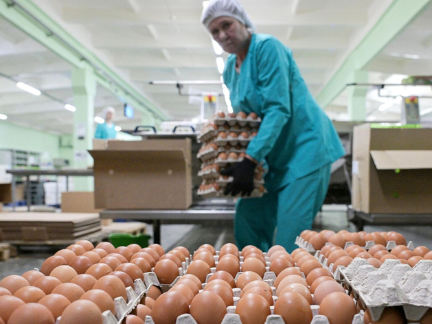 Дешевле на 0,02%! Куриные яйца впервые показали падение цен после подорожания на 59%