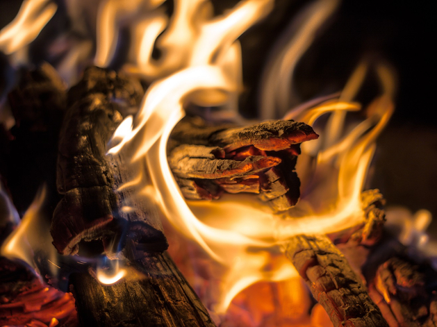 На полтора месяца раньше весны. Под Екатеринбургом зафиксированы первые пожары — 2024