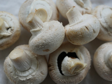 Окупится за пять лет: под Челябинском продается фабрика по производству шампиньонов