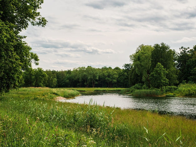 Свердловская область с большим отрывом выбилась в лидеры регионов с самыми грязными реками