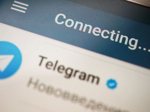 Суточный охват Telegram достиг половины населения России