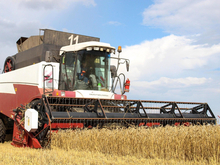 Гигантский элеватор начнут строить в Тюменской области в 2024 году