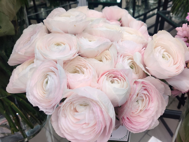 С начала года свердловчане потратили на цветы более 5 млн долларов С начала года свердловчане потратили на цветы более 5 млн долларов