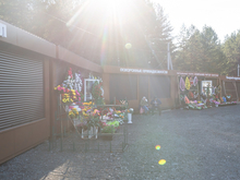 Депутаты хотят запретить торговлю венками у школ и больниц Тюмени