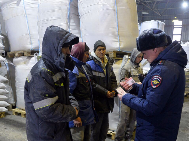 Исключительно целевой набор. Минтруд готовит новые правила трудоустройства мигрантов
