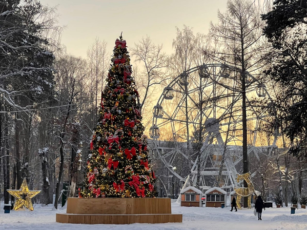 Администрация Екатеринбурга объявила конкурс на право благоустроить парк «Уралмаш»