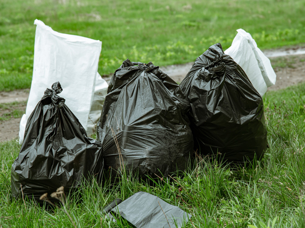 Жители Сысерти стали на шаг ближе к проведению референдума против «экокластера»