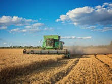 Рентабельность сельхозпроизводства в России упала. Сектор поддержат субсидиями

