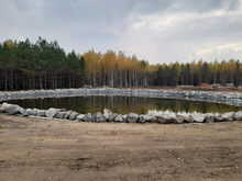 Охотничий туркомплекс с маралами и муфлонами откроют в Тюменской области