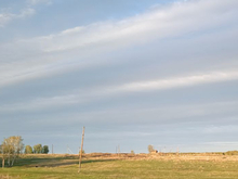 В Челябинской области резко подорожали дачи и участки под застройку