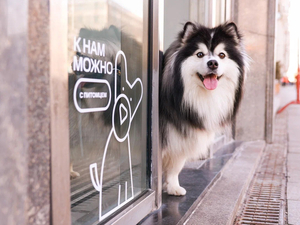 В Красноярском крае МТС открыла свои магазины для домашних животных 