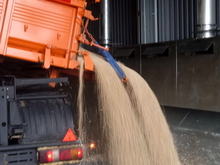 Крупный тюменский агрохолдинг получил статус официального экспортера в КНР