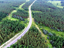 Хорошо наросло: Красноярский край стал вторым в России по молодому лесу
