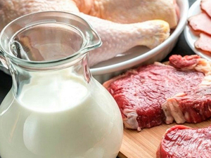 В Нижегородской области увеличилось производство мяса и молока
