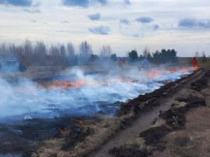 В Челябинской области начались лесные пожары
