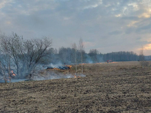 Рослесхоз предупредил о риске возникновения лесных пожаров в Тюменской области