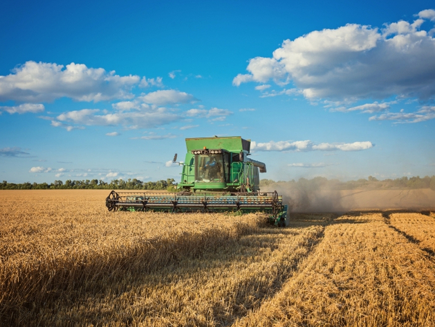 Торгпредство: треть импорта в ОАЭ составляет зерно из России