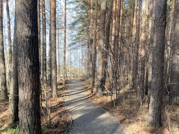 Недалеко от Екатеринбурга в эти выходные откроется новая туристическая тропа